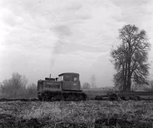 Mezőgazdaság - A Velencei Gépállomás lánctalpas traktora
