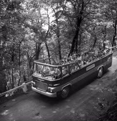 Idegenforgalom - Autóbuszos körutazás a budai hegyekben