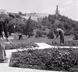 Településfejlesztés - Jubileumi Park létesül a Gellért-hegyen