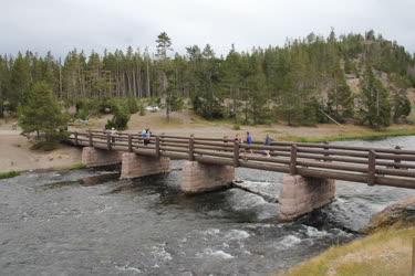 Tájkép - Yellowstone - Fahíd a Yellowstone Nemzeti Parkban