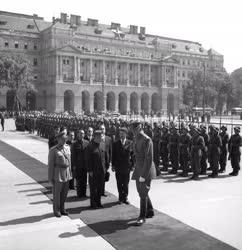 Külkapcsolat - Diplomácia - Új kínai nagykövet fogadása