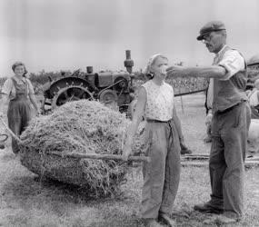 Mezőgazdaság - Mozgóbüfé az aratóknak