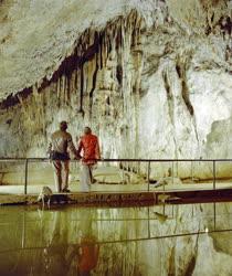 Természet - Az Aggteleki-cseppkőbarlang 