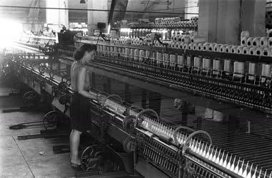 Ipar -  Textilipar - Hazai Fésűsfonó- és Szövőgyár