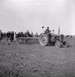 Mezőgazdaság - A négyzetes kukoricavetés bemutatója