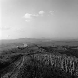 Tokaj