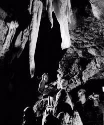Tudomány - Kutatóállomás a jósvafői barlangban