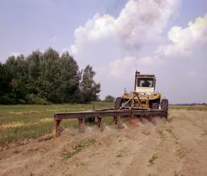 Mezőgazdaság - Munkában a Rába-Steiger traktor