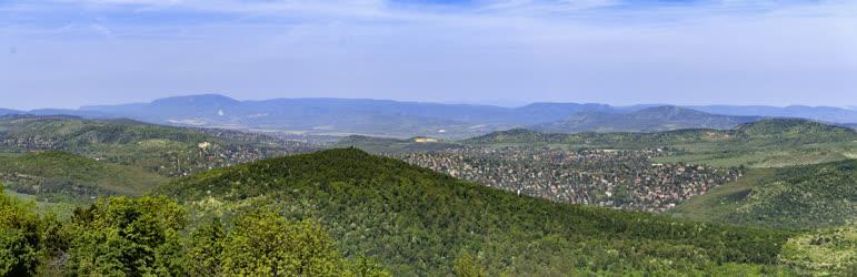 Természet - Budapest - Hárshegy