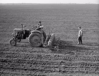 Mezőgazdaság - Tavaszi munkák a somogyi földeken
