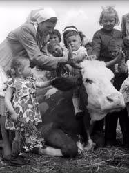 Mezőgazdaság - Állattenyésztés - Gyermeknap a tehenészetben