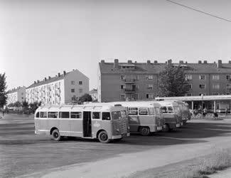 Városkép - Közlekedés - Buszpályaudvar Sztálinvárosban