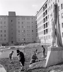 Városkép - Parkosítják a lágymányosi úti lakótelep környékét