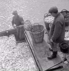 Mezőgazdaság - Halászat - Tihanyi halászok
