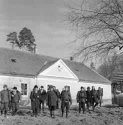 Mezőgazdaság - Vaddisznó vadászat Szekszárd mellett