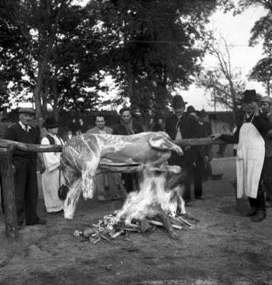 Szabadidő - Kecskeméti pásztornap