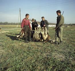 Mezőgazdaság - Vadászat  