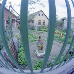 Városkép-életkép - Kerti törpe egy szekszárdi udvarban