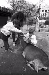 Gyerekek - Vak gyerekek állatbarát szakköre