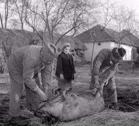 Házasság - Életkép - Lakodalmi előkészület Feldebrőn