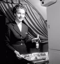 Légiközlekedés - Stewardess