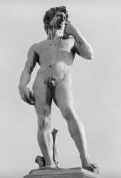 Kultúra - Michelangelo Dávid-szobrának másolata