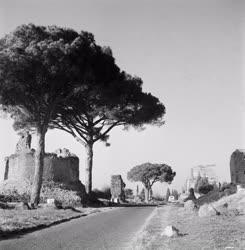 Városkép - Olaszország - Róma - Via Appia Antica