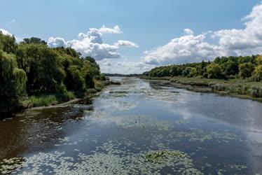 Tájkép - Természet - Kis-Balaton - Kányavári-sziget