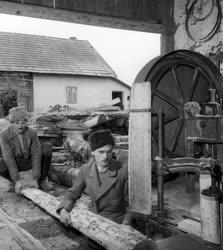 Mezőgazdaság - A balmazújvárosi Lenin Tsz