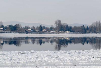 Természet - Zebegény - Jeges Duna