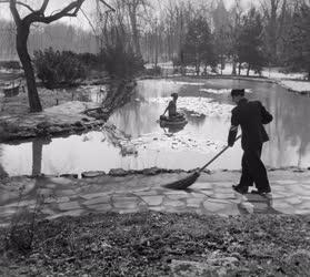 Időjárás - Tavasz a Margitszigeten