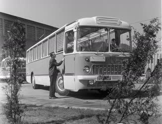 Közlekedés - Panoráma-busz az IBUSZ számára