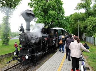 Közlekedés - Debrecen - Zsuzsi Erdei Vasút 