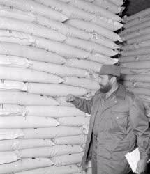 Külkapcsolat - Fidel Castro Martonvásáron
