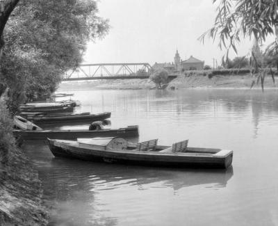 Természet - Rába-part Győrnél