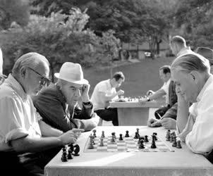 Városkép-életkép - Sakkozók a Tabánban