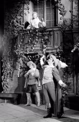 Kultúra - Színház - Rostand: Cyrano de Bergerac