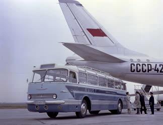 Közlekedés - Ikarus 55 autóbusz a MALÉV-nak  
