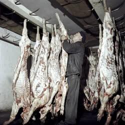 Élelmiszeripar - Kecskeméti húsfeldolgozó