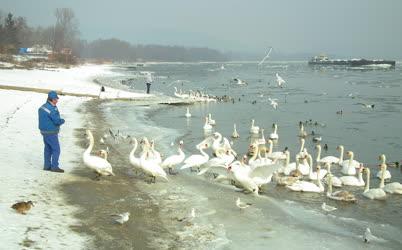 Nagymaros - Téli Dunapart