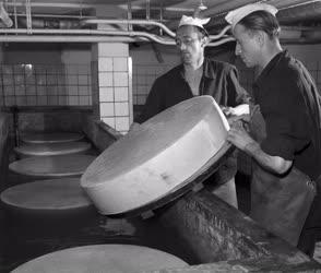 Ipar - Élelmiszeripar - A zalaszentgróti sajtüzem 