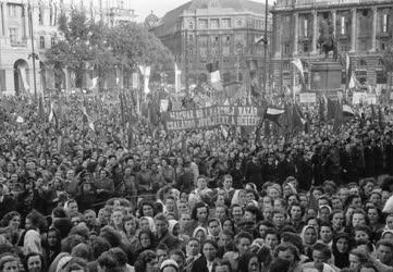 Belpolitika - Magyar Nők Demokratikus Szövetsége