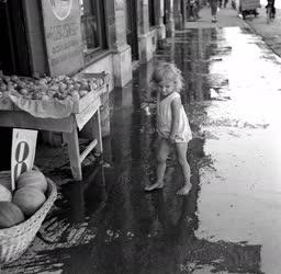 Színes - Kislány egy gyümölcsös stand előtt