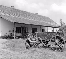 Mezőgazdaság - Életképek a Nagyszénási Dózsa TSZ-ben