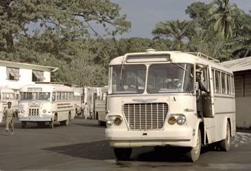 Guinea - Közlekedés - Ikarus busz