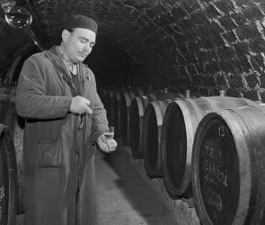 Borászat - Húsvétra új borfajtát hoz forgalomba a mádi borpalackozó üzem
