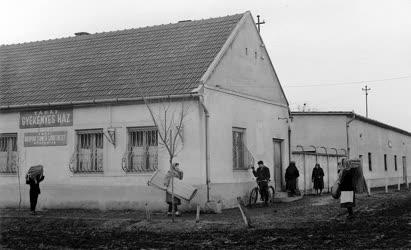 A szerző válogatása - Tápéi gyékényesek