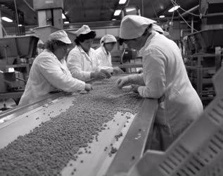 Élelmiszeripar - Alba Mirelit Vállalat hűtőházi borsófeldo