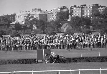 Lovassport - Magyar Derby