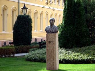Köztéri szobor - Révkomárom - Selye-szobor az egyetem udvarában